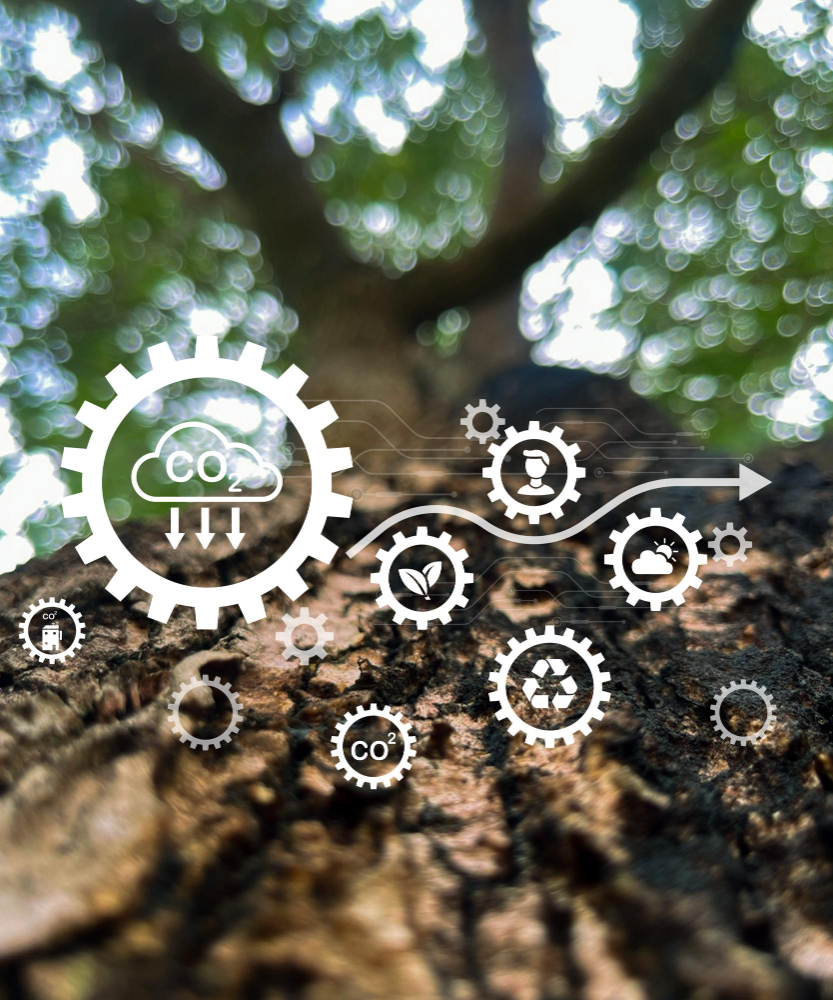 Life Cycle Assessment Services