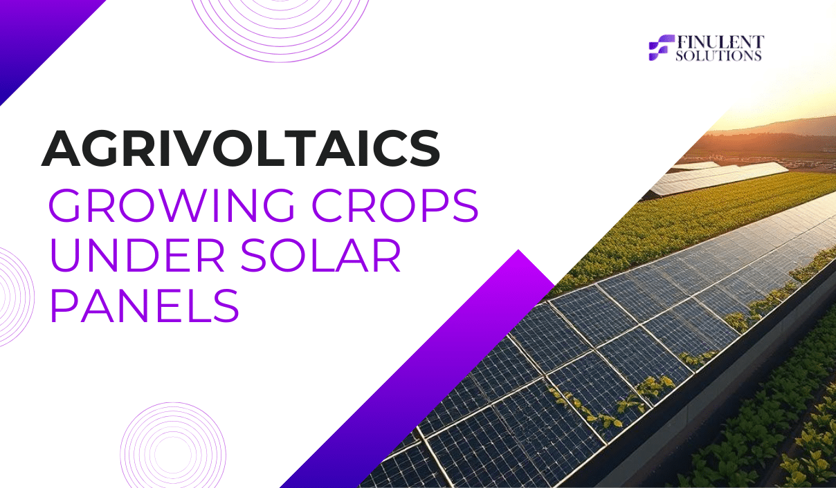 Agrivoltaics: Growing Crops Under Solar Panels