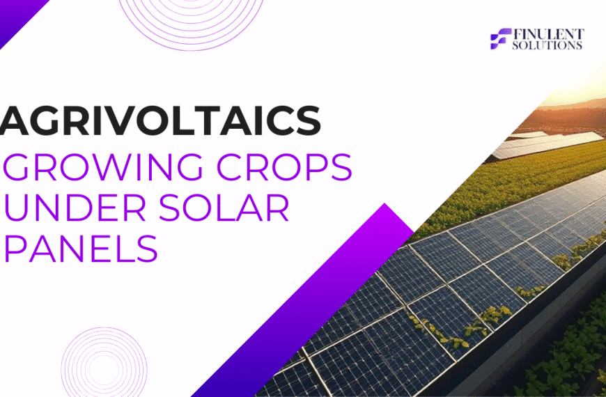 Agrivoltaics: Growing Crops Under Solar Panels