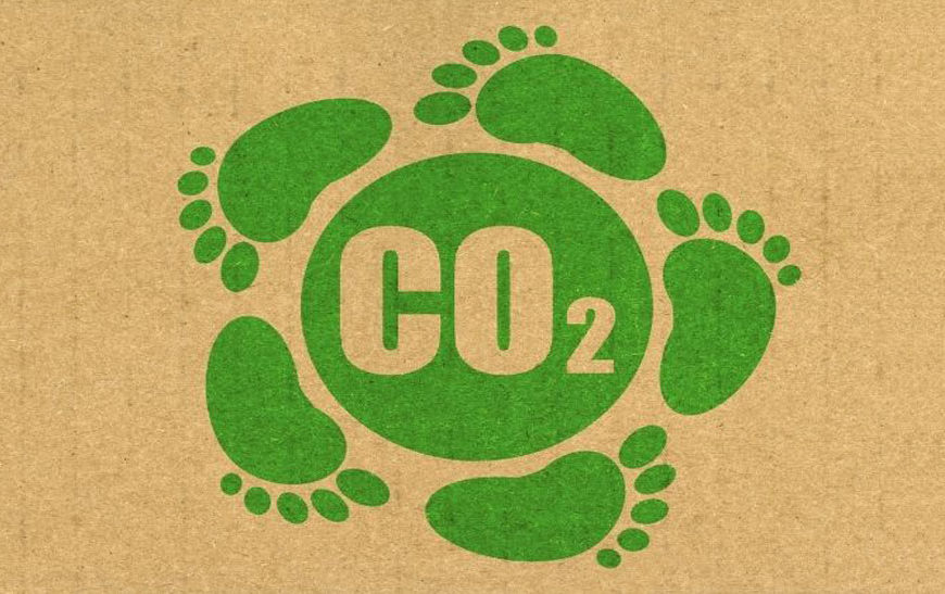 How to Reduce Your Carbon Footprint: 6 Easy Steps